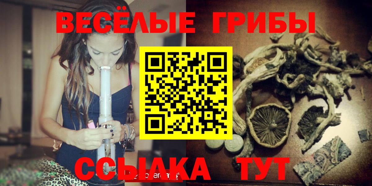Псилоцибиновые грибы Psilocybine cubensis  продажа наркотиков  Саранск  Вход с VPN 