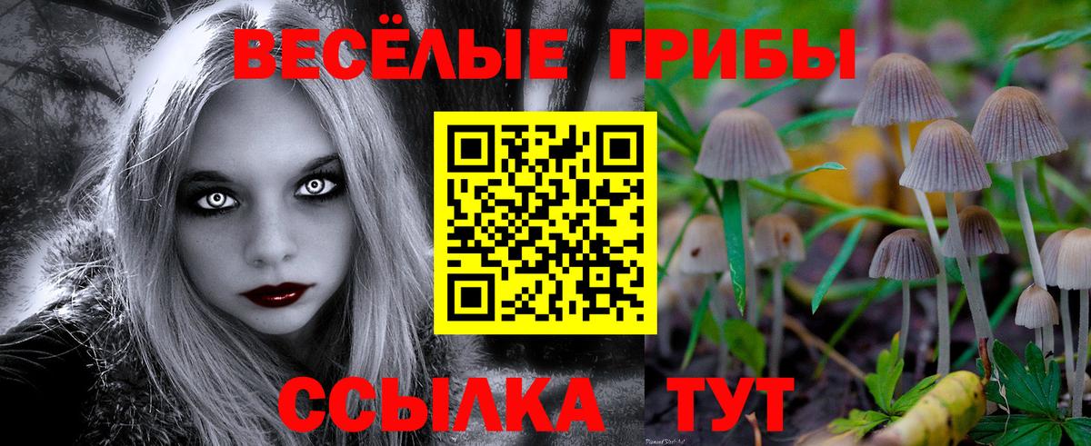 Галлюциногенные грибы Magic Shrooms Саранск